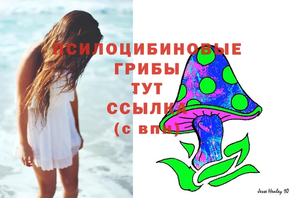 прущая мука Ладушкин