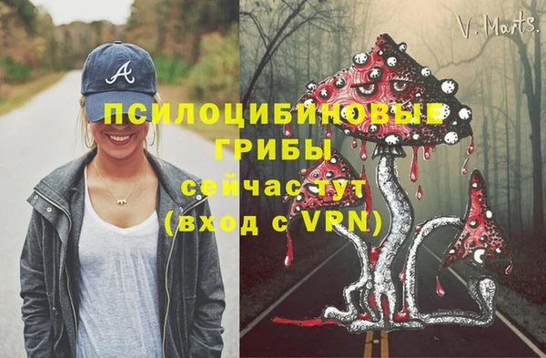 прущая мука Ладушкин